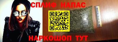 бошки Тверь