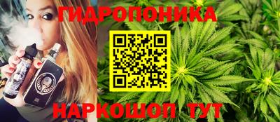 бошки Тверь