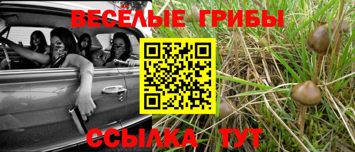 Галлюциногенные грибы MAGIC MUSHROOMS  Вход с VPN  Галлюциногенные грибы GOLDEN TEACHER  Москва 