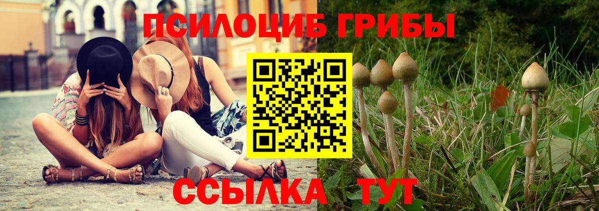 Псилоцибиновые грибы GOLDEN TEACHER Москва
